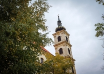 Birmovanci